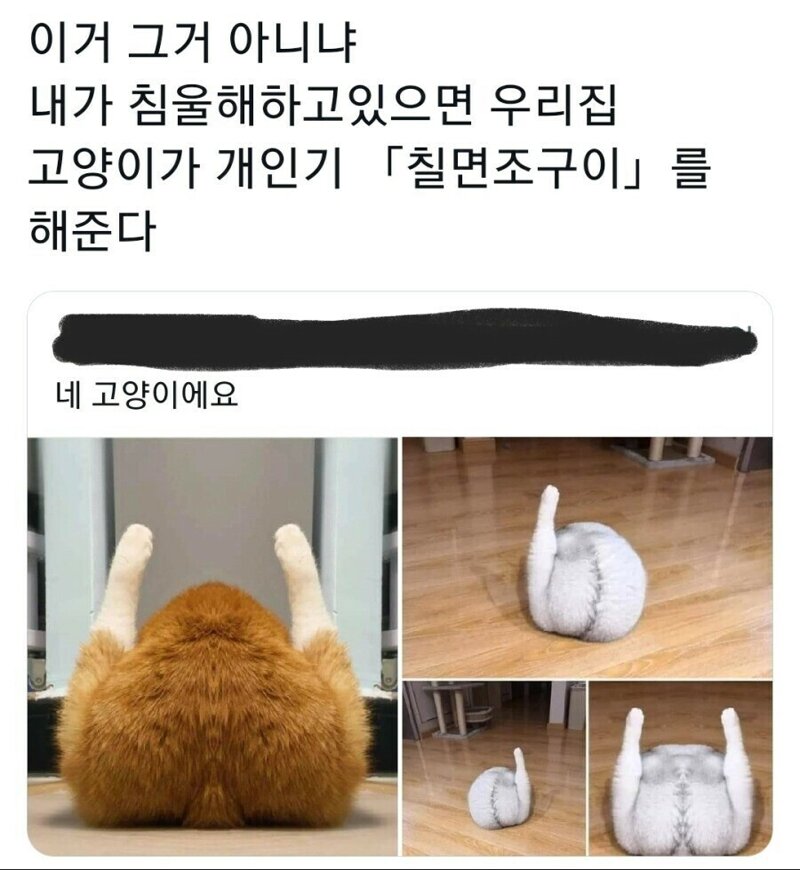고양이와 와사비 이미지