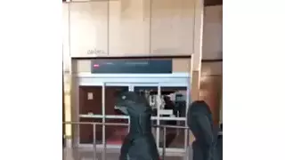 공항에서 할머니 기다리는 공룡들