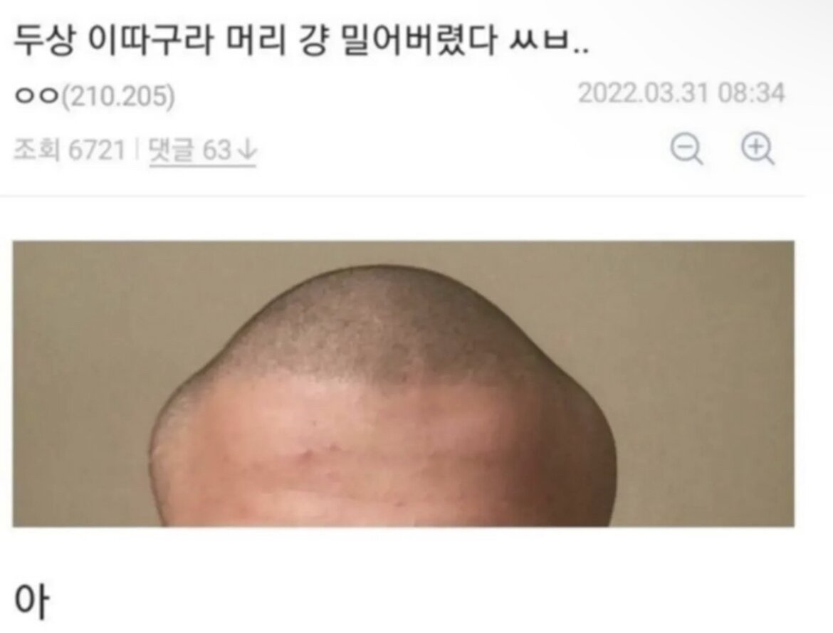 메이플스토리 인벤 : 다오 실존설.jpg - 메이플스토리 인벤 자유게시판 (구) 다오 실존설.jpg
