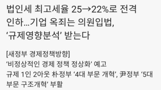 법인세 최고세율 25→22%로 전격 인하…기업 옥죄는 의원입법, ‘규제영향분석’ 받는다