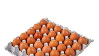 사는 지역 계란 한판 가격 얼마 정도함?