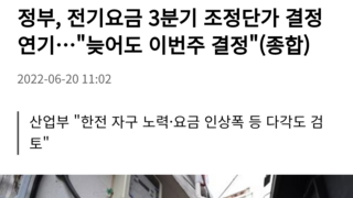 정부, 전기요금 3분기 조정단가 결정 연기…