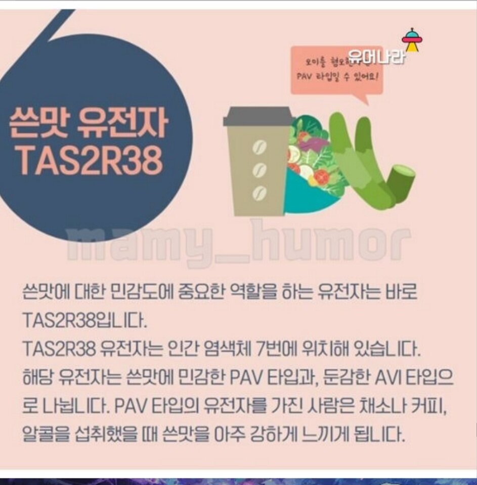로스트아크 인벤 : 소주가 달다고 느껴지는사람? - 로스트아크 인벤 자유 게시판