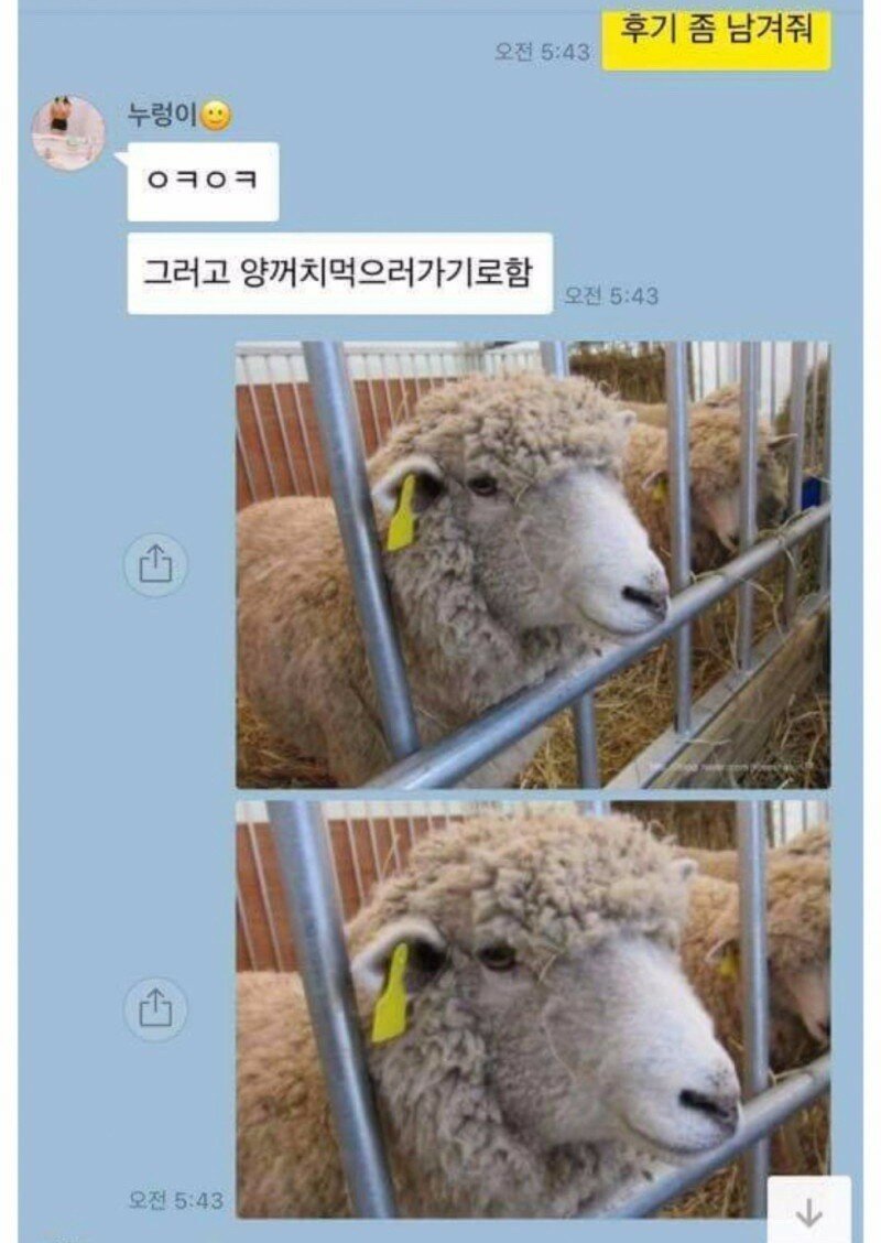 메이플스토리 인벤 : 퍼옴) 양꼬치 초원이 - 메이플스토리 인벤 자유게시판 (구) 퍼옴) 양꼬치 초원이