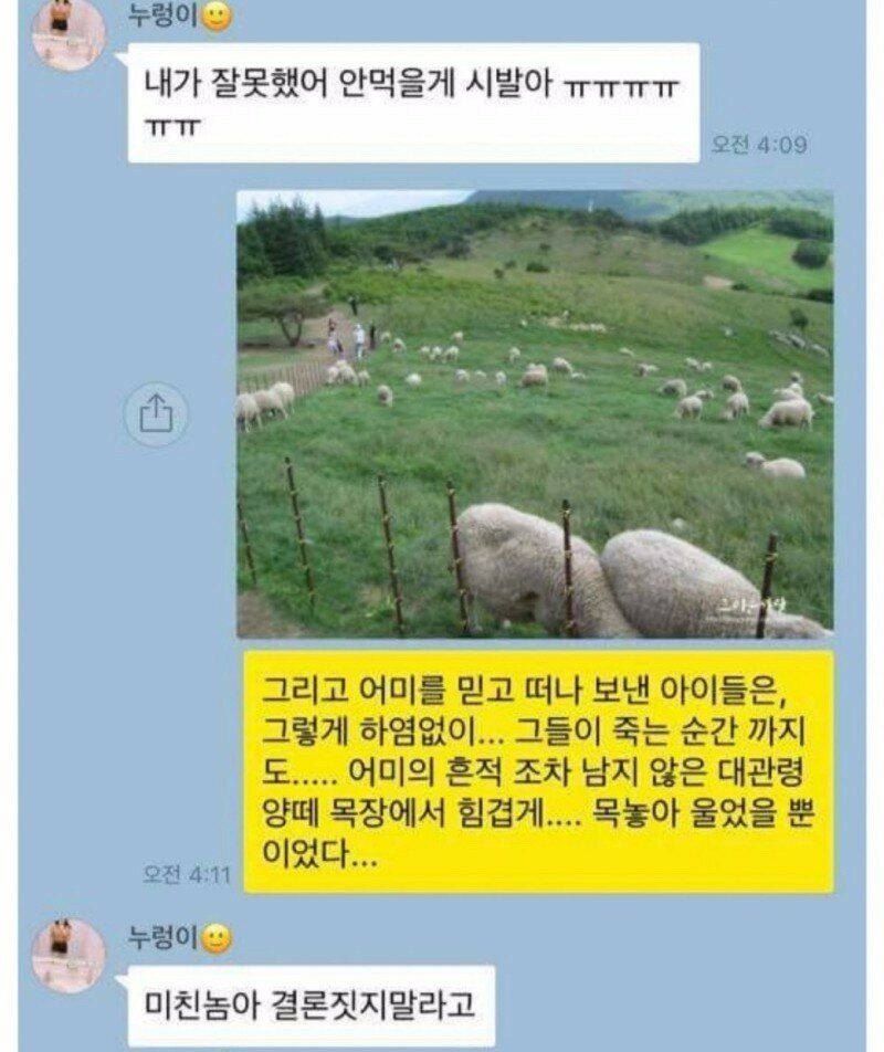 메이플스토리 인벤 : 퍼옴) 양꼬치 초원이 - 메이플스토리 인벤 자유게시판 (구) 퍼옴) 양꼬치 초원이