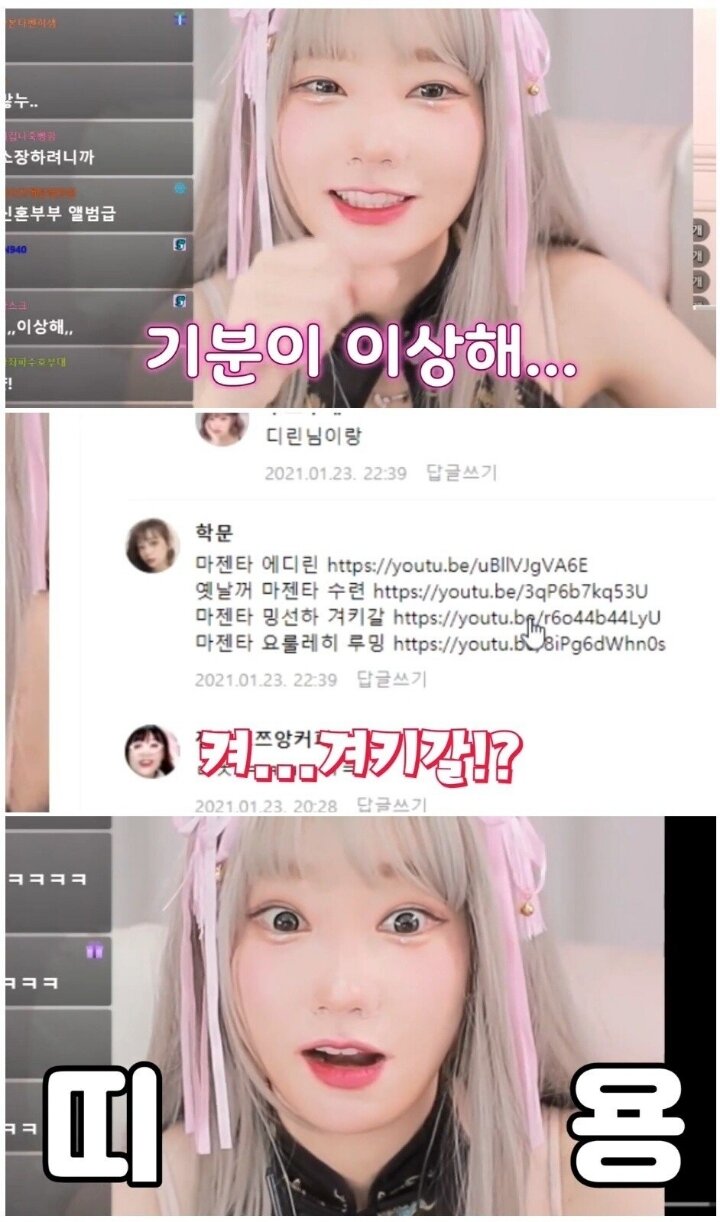 메이플스토리 인벤 : ㅎㅂ?) 본인이 ㅍㅎㅂ에 나오는걸 알게된 그녀 - 메이플스토리 인벤 자유게시판 (구)