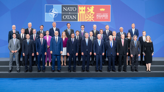 따끈한 NATO 사진