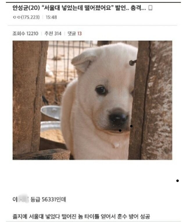 로얄PC방 이미지