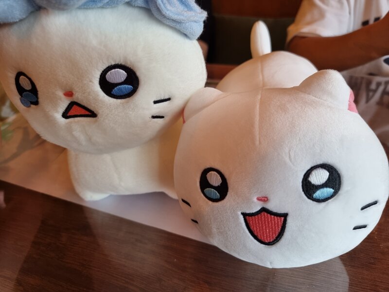 춘배 이미지