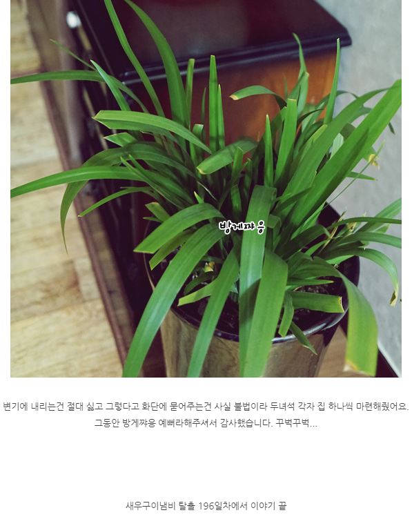 새우집우리집 이미지