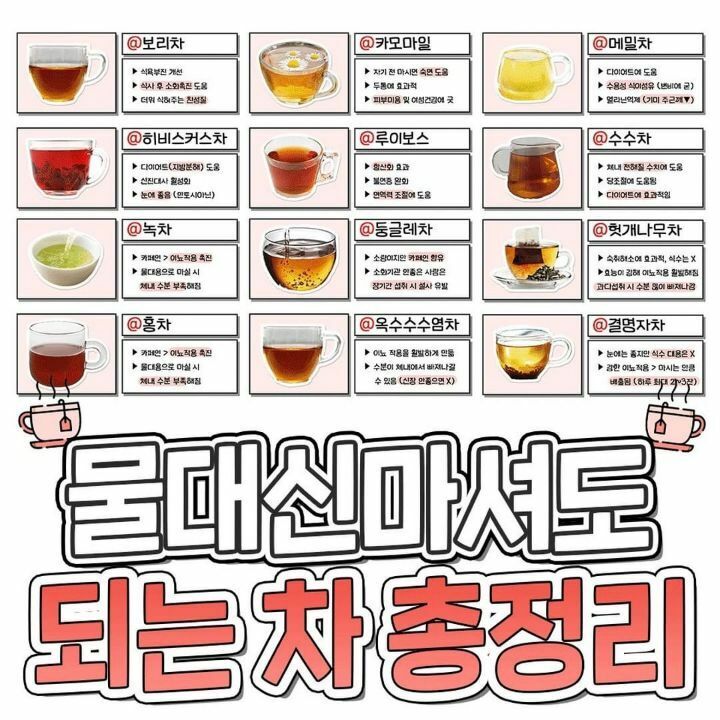 웹진 인벤 : 물 대신 마셔도 되는 차 총 정리 - 오픈이슈갤러리 물 대신 마셔도 되는 차 총 정리