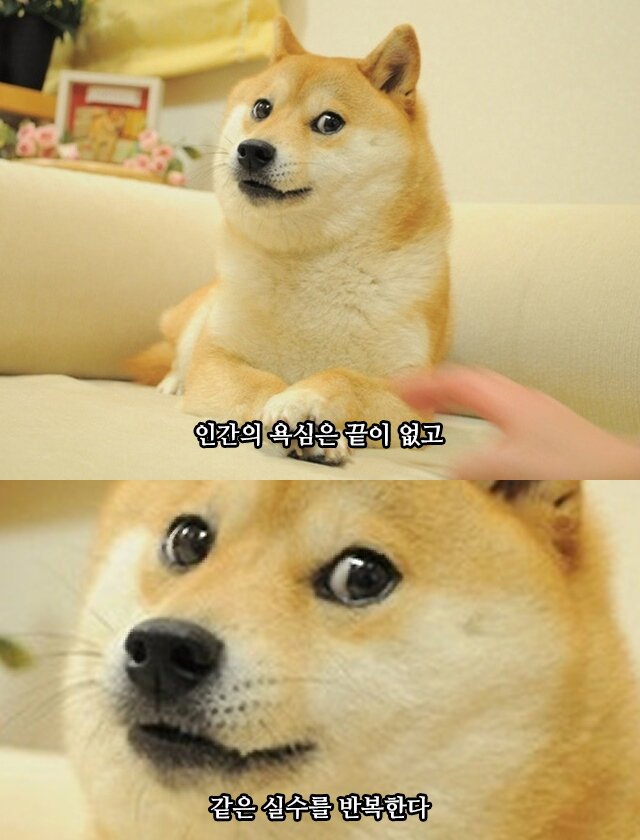 궁금 이미지