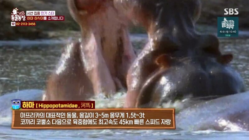갤러리하마 이미지