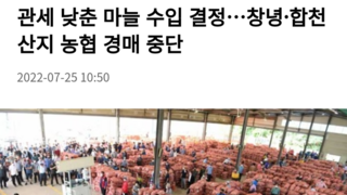 관세 낮춘 마늘 수입 결정…창녕·합천 산지 농협 경매 중단