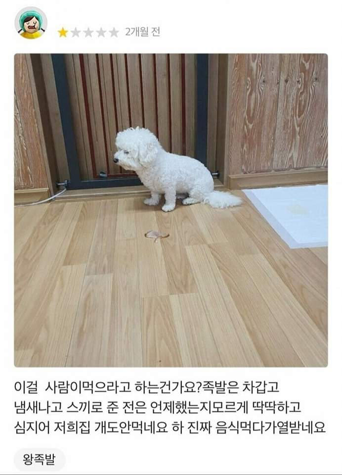 메이플스토리 인벤 : 개도 안먹는 족발 리뷰 - 메이플스토리 인벤 자유게시판 (구) 개도 안먹는 족발 리뷰