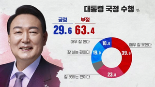 [SBS 여론조사] 두차이햄 취임 100일…'잘한다' 29.6% '못한다' 63.4%