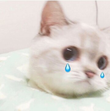 이김 이미지