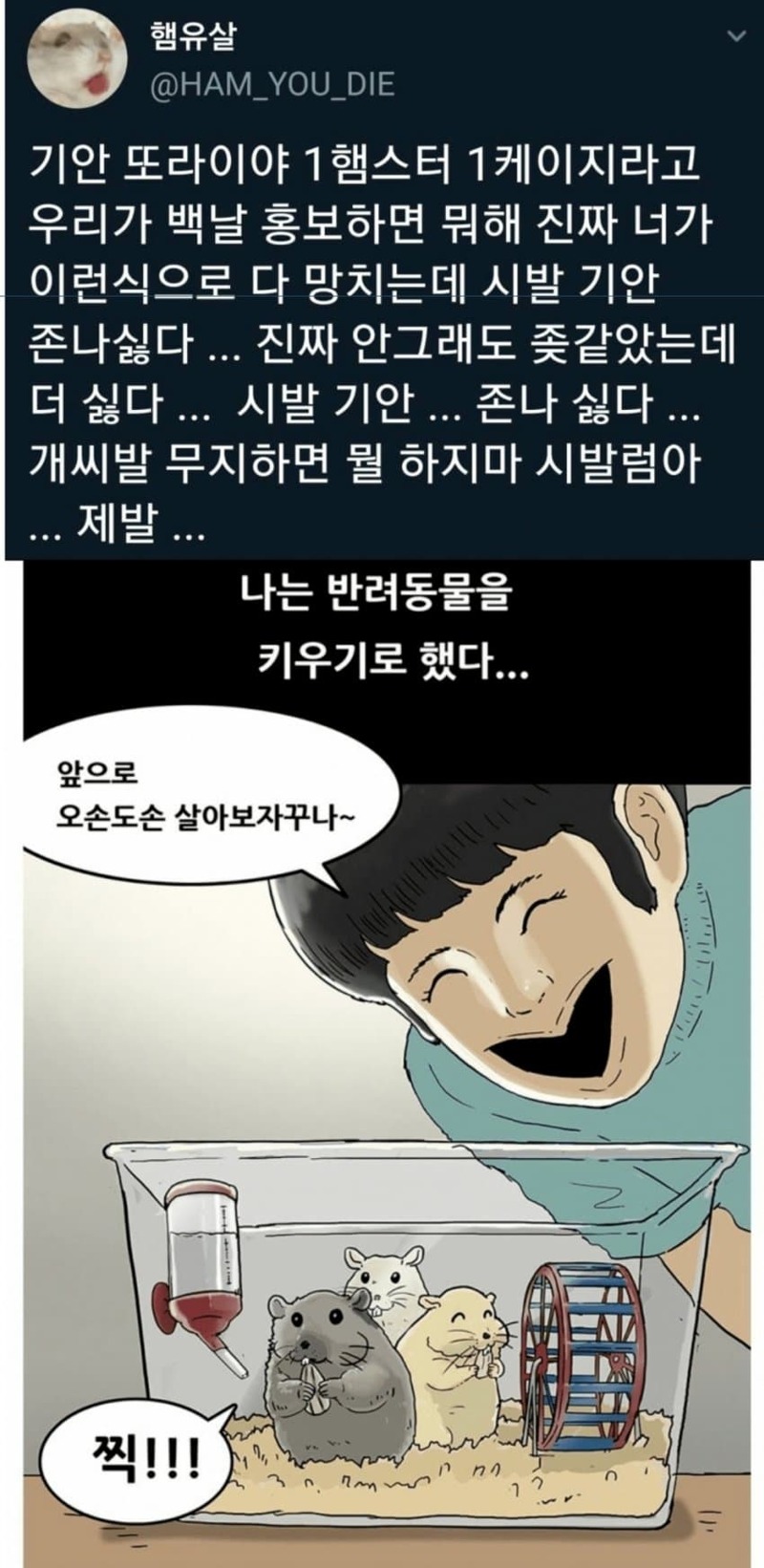 과거 기안84 레전드 동물학대 논란 | 웹진 인벤 - 인벤