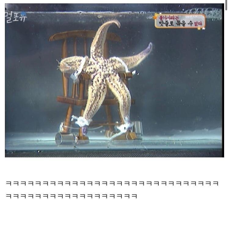 뚱이PC방 이미지