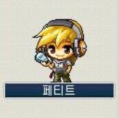 메이플 이미지