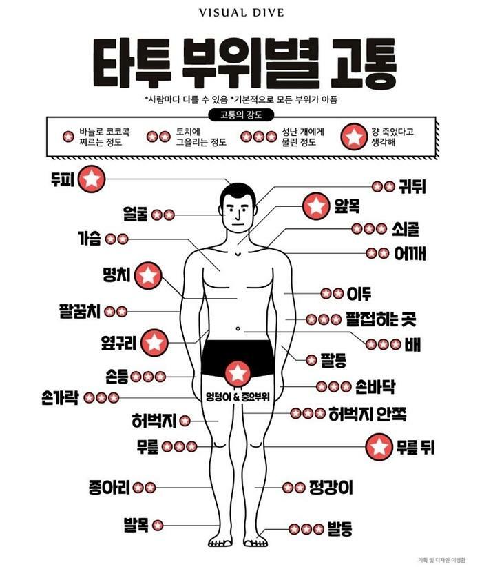 웹진 인벤 : 타투 부위별 고통 - 오픈이슈갤러리 타투 부위별 고통