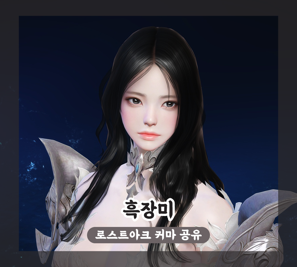 로스트아크 인벤 : [공유/상시업뎃]마법사(아르카나,서머너,바드,소서러스) 커마 공유중 - 로스트아크 인벤 스크린샷 갤러리