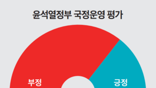 뉴스토마토 여론조사 윤석열 긍정 29.4% 부정 65.5%