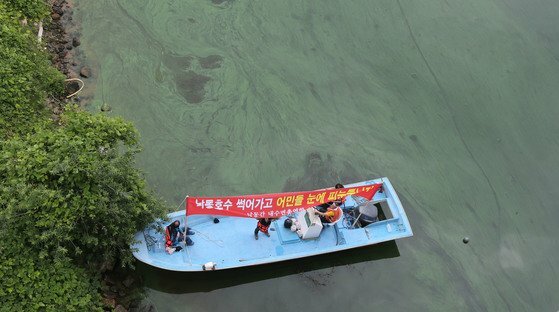 낙동강메기매운탕 이미지