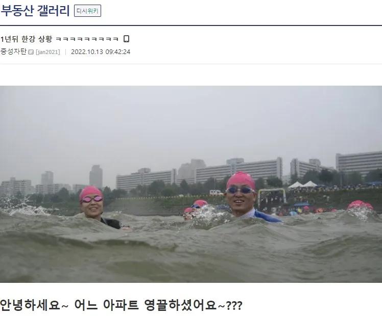 웹진 인벤 : 1년 뒤 한강 상황 - 오픈이슈갤러리 1년 뒤 한강 상황