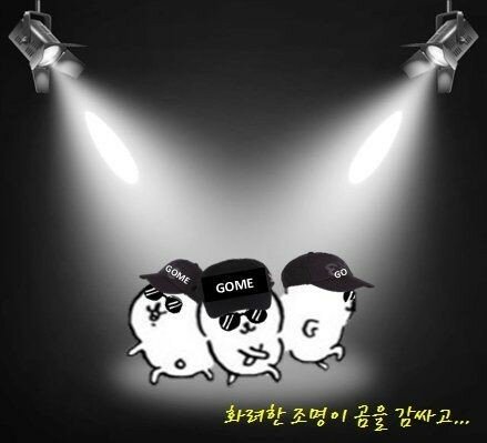 나모 이미지