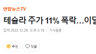 테슬라 주가 11% 폭락…이달에만 '반토막'