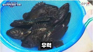 수산시장에서 수산물 고르는 tip