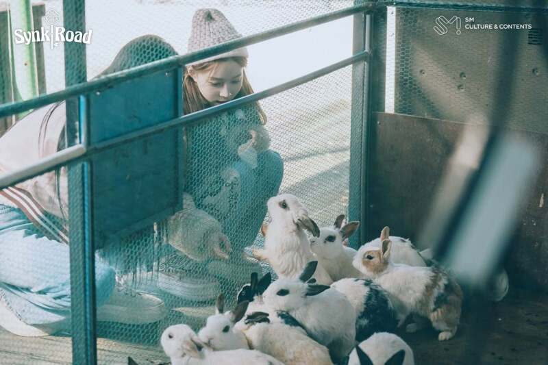 씽크로드 이미지