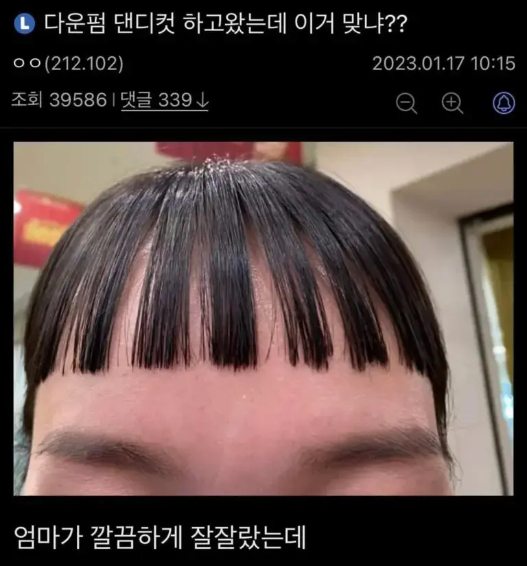 겔러리헤어 이미지