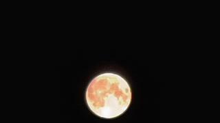 아이폰12프로맥스로 찍은 달 사진…