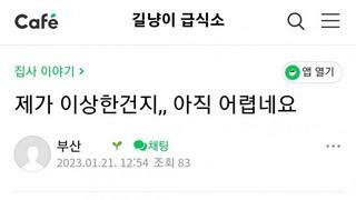 길고양이가 아닌 비둘기가 문제라는 캣맘대디(fear.세금살살녹)