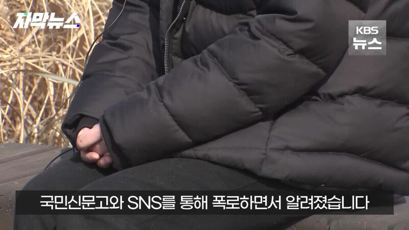 해라의성 이미지