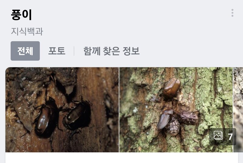 메이플스토리 인벤 : 퐁이 직캠 - 메이플스토리 인벤 자유게시판 퐁이 직캠