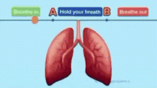 폐활량 테스트
