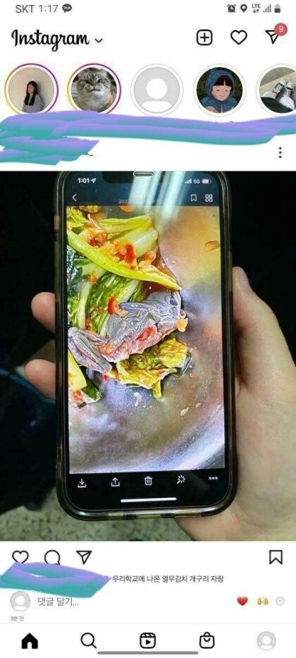 개구리반찬 이미지