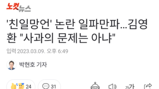 '친일망언' 논란 일파만파…김영환 