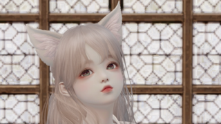 녹안