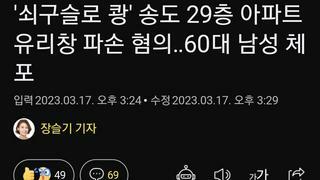 '쇠구슬로 쾅' 송도 29층 아파트 유리창 파손 혐의‥60대 남성 체포