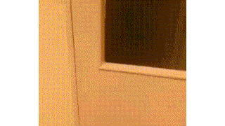 고먐미메묘. 문멸머주세묘.gif