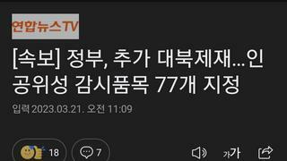 [속보] 정부, 추가 대북제재…인공위성 감시품목 77개 지정
