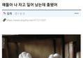 썸네일 이미지