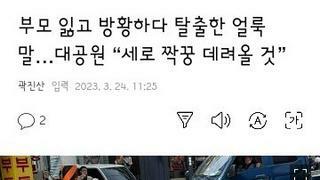 얼룩말 세로 여친 생긴다.