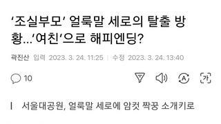 동물원 관계자가 밝힌 얼룩말 근황