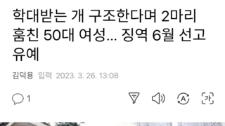 학대받는 개 구조한다며 2마리 훔친 50대 여성… 징역 6월 선고유예