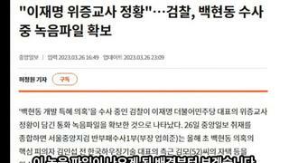 검새들 이재명대표 관련신작소설출간 대장동은망햇어?